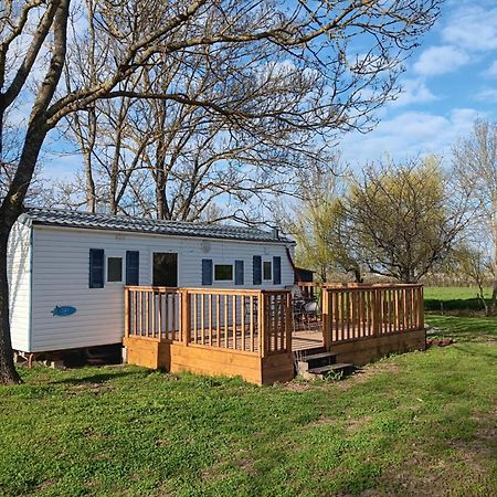 Mobilhome Cosy Au Calme De La Campagne Lombez エクステリア 写真